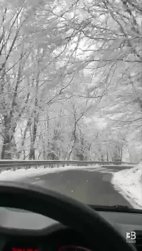 Cronaca meteo diretta neve : monte terminio sotto una coltre di neve. Video