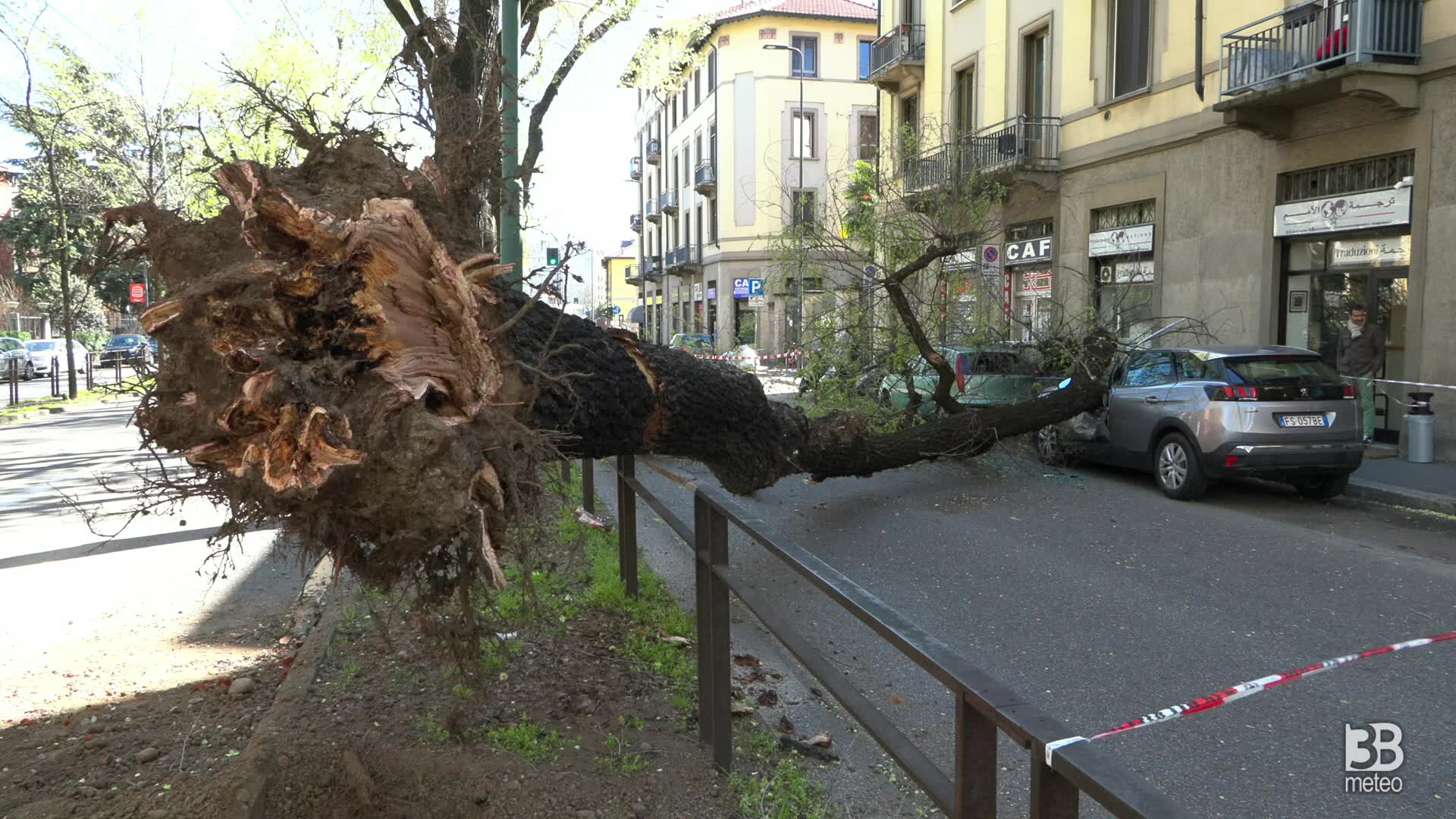Vento forte a Milano: due alberi caduti sulle auto