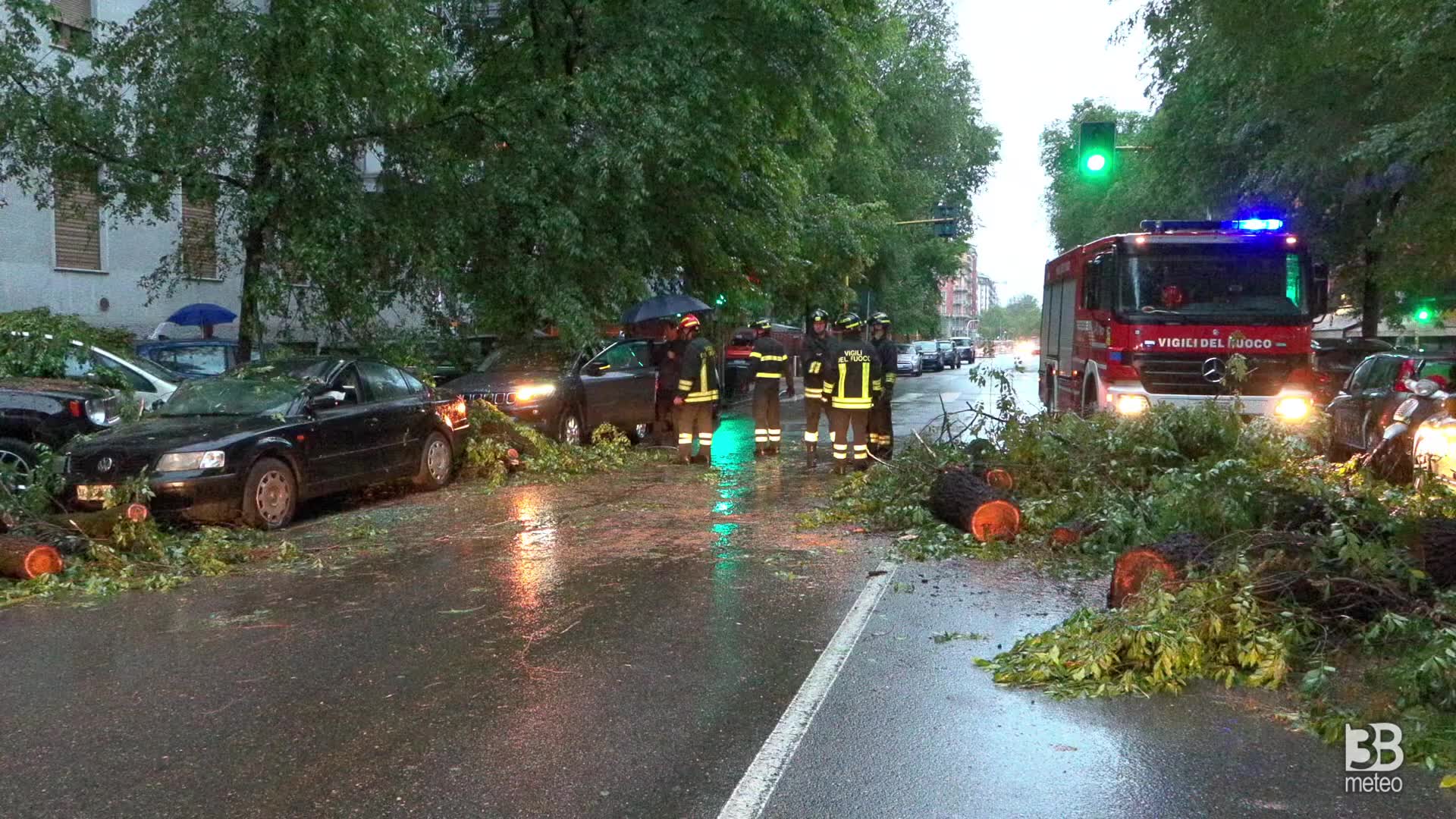 Maltempo a Milano, albero cade su auto parcheggiate: 