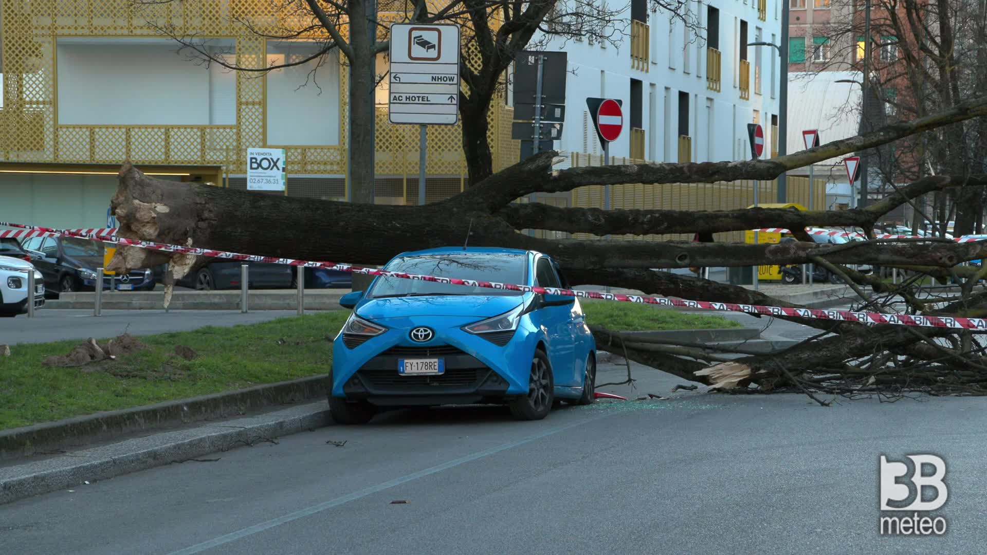 Milano, albero cade su auto: bloccata via Guglielmo Silva