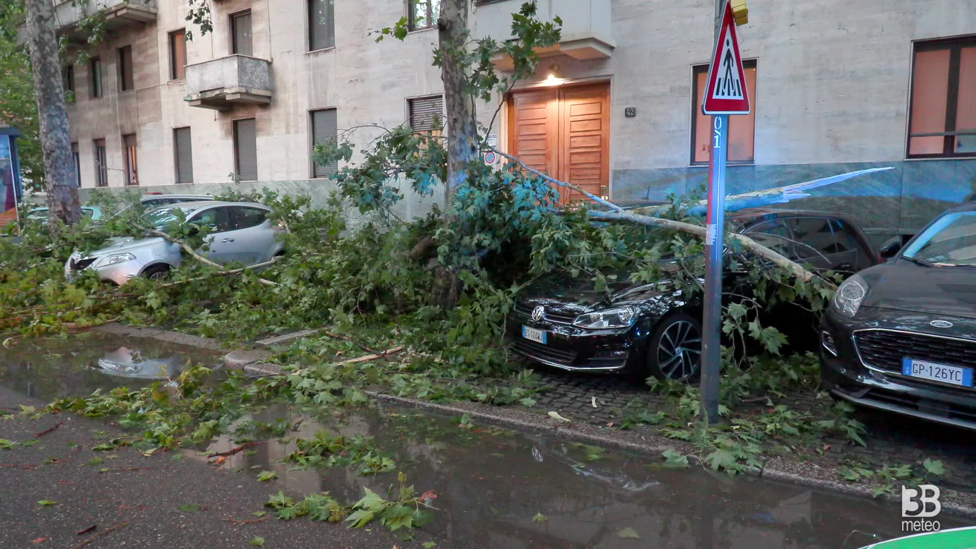 Maltempo, alberi e rami cadono sulle auto in via Canova: 