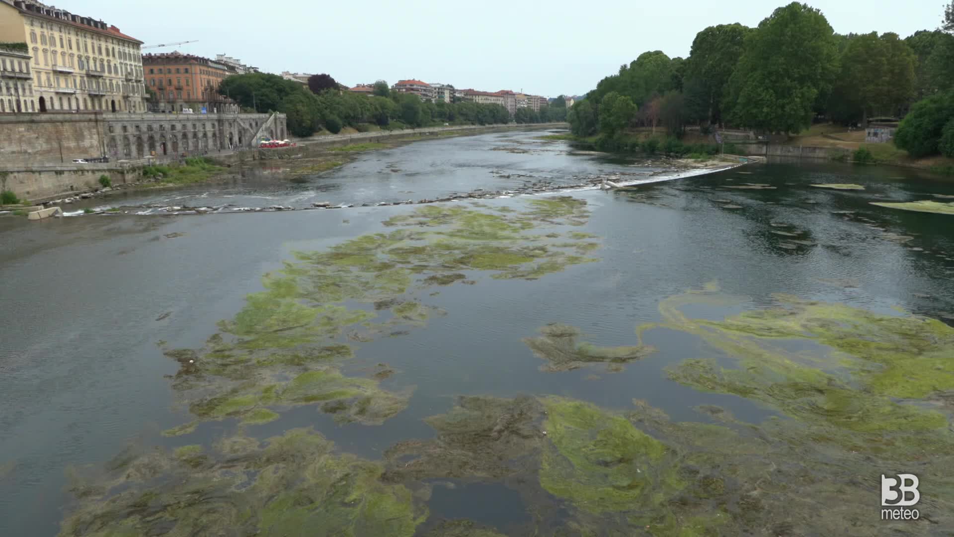 Torino, la sofferenza del Po: alghe, rifiuti e vegetazione