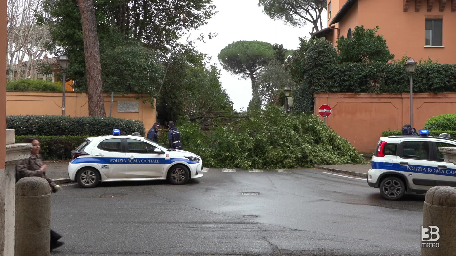 Albero cade nel giardino di una scuola a Roma, danni al muro: 