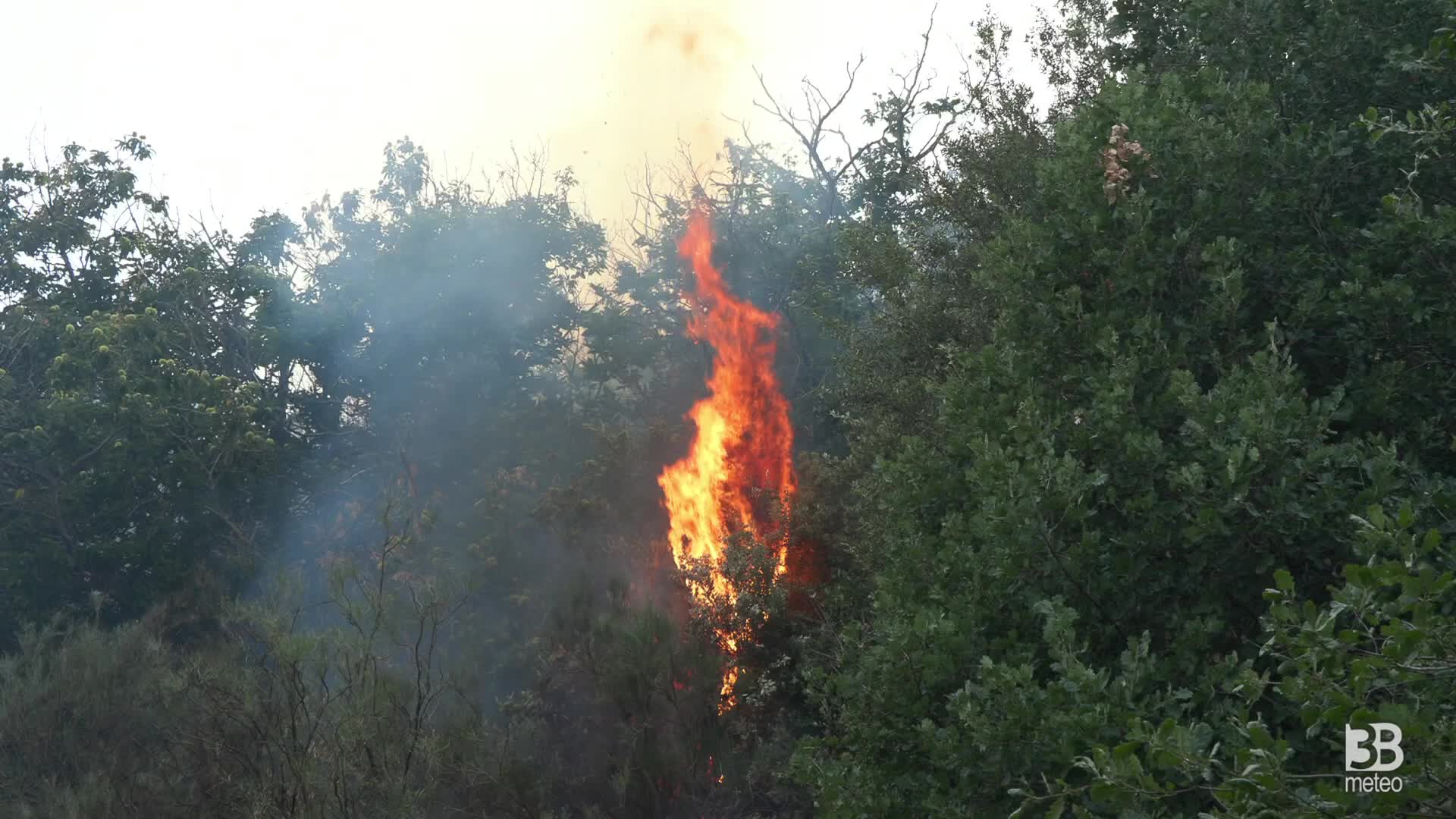 Immagine 1:Emergenza Incendio a Regalna, parco Etna: vigili del fuoco al lavoro. Video 